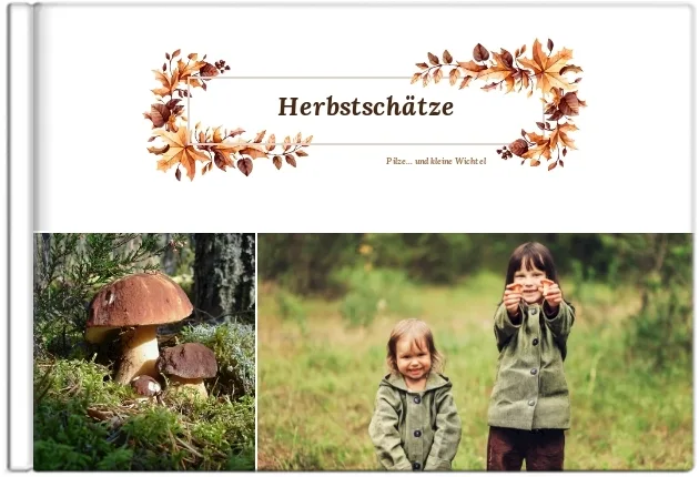 Pilzesammeln