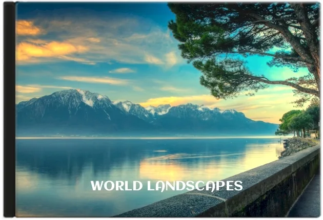 Professional Travel Portfolio