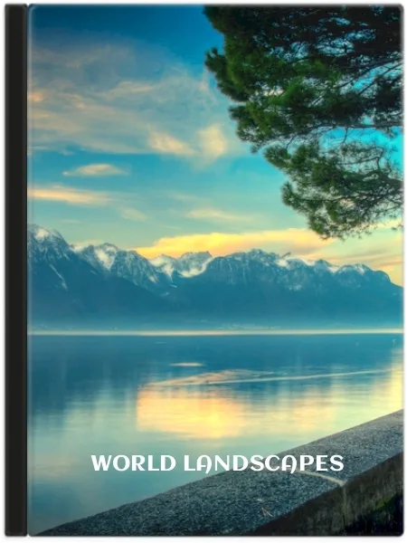 Professional Travel Portfolio