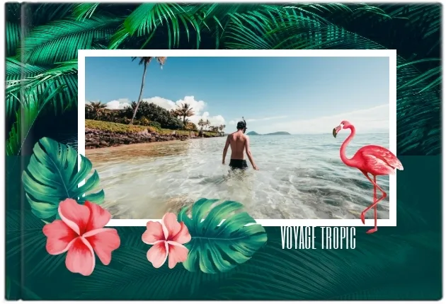 Tropical Paradise