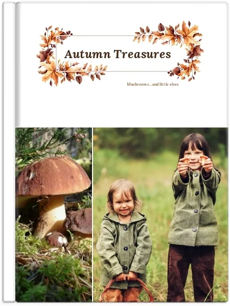 Mushroom Picking