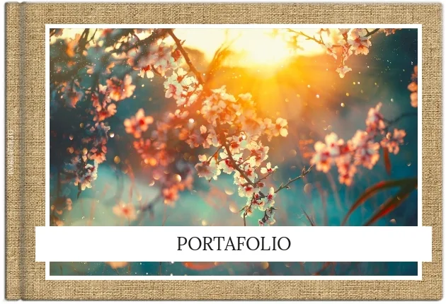 Porfolio