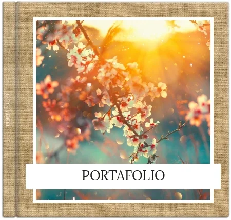 Porfolio