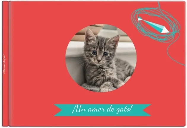 Un amor gatuno