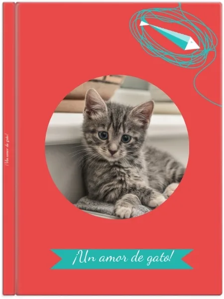 Un amor gatuno