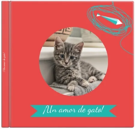 Un amor gatuno