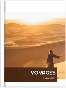 Voyages internationaux