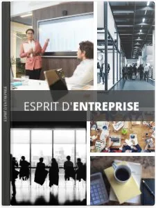 Esprit d’entreprise
