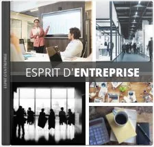 Esprit d’entreprise