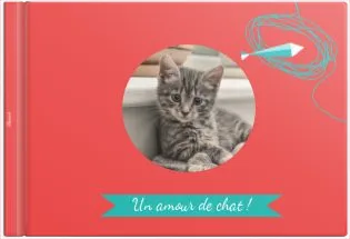 Un amour de Chat