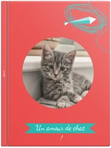 Un amour de Chat