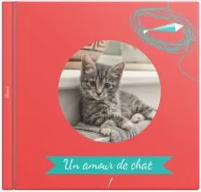 Un amour de Chat