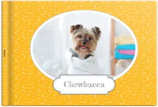 Mon Chien