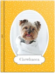 Mon Chien