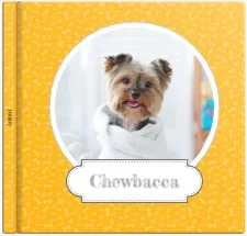 Mon Chien