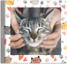 Chat-Rivari